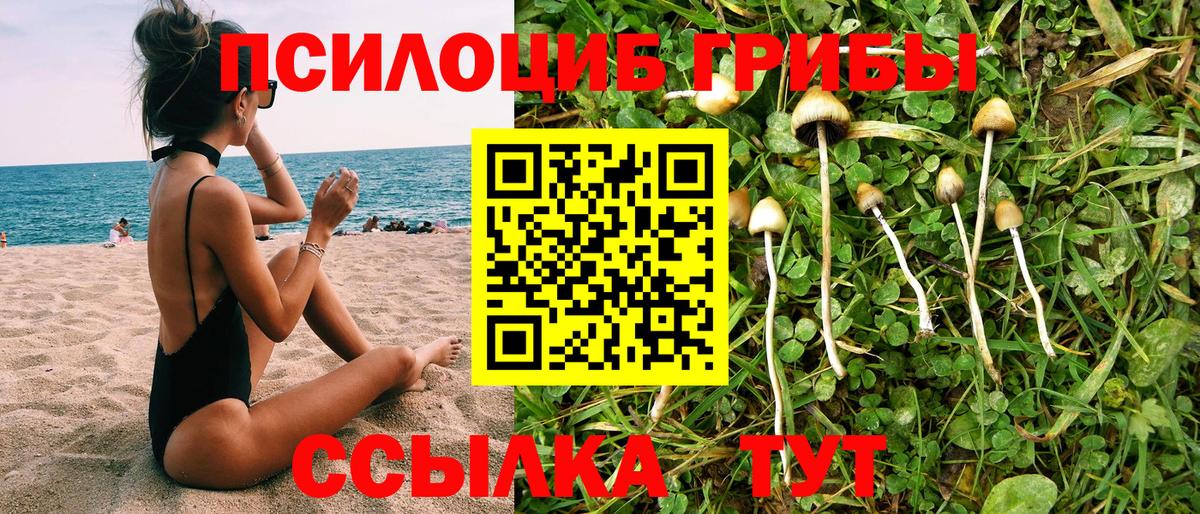 Псилоцибиновые грибы MAGIC MUSHROOMS Кызыл