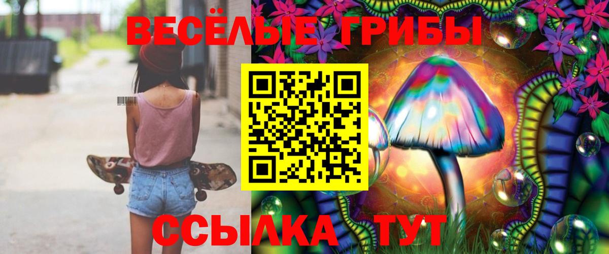 Галлюциногенные грибы Magic Shrooms  Вход с VPN  Псилоцибиновые грибы Psilocybe  закладка  Кызыл 